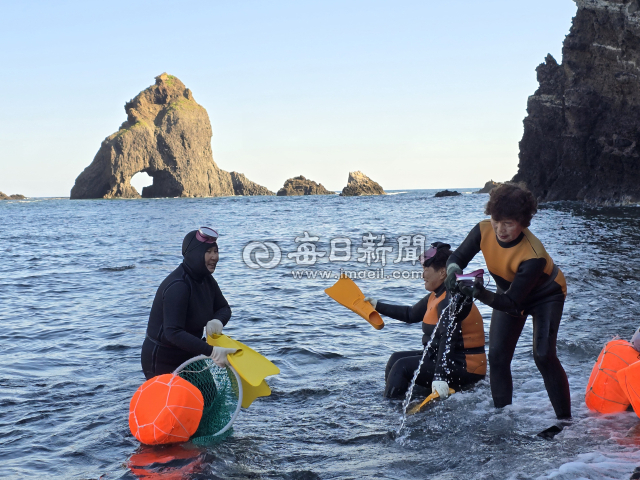 조준호 기자