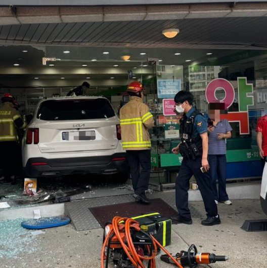 60대女 몰던 SUV 약국으로 돌진…70대 약사 사망