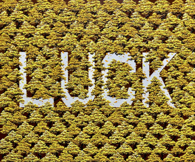 이진이, 숲의 노래(LUCK), Mixed media on canvas, 72.7x60.6cm, 2024