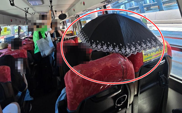 부산 시내버스 안에서 한 승객이 양산을 펼친 채 앉아 있는 모습이 촬영돼 온라인에서 논란이 일고 있다. /온라인 커뮤니티