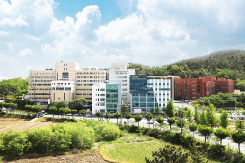 200명 홀로 맡던 암 전문의 돌연 사직에 환자들만 발동동