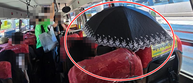 버스 안에서 양산?…