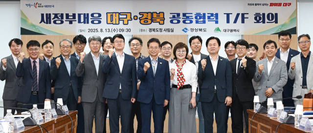 13일 대구시와 경북도는 새 정부 국정 대응을 위한 대구·경북 공동 협력 T/F