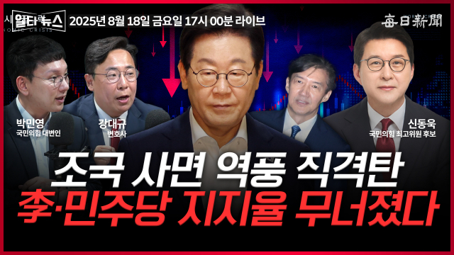 매일신문 유튜브 