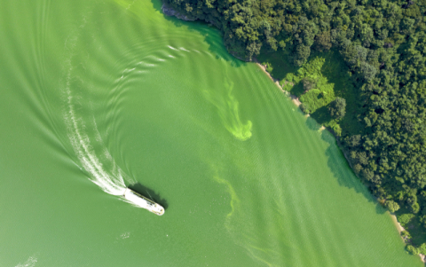 대구시, 낙동강 녹조 대응 '계절관리제' 첫 도입