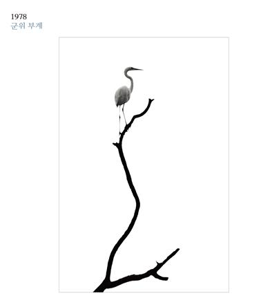 반세기 백로와 시대의 풍경…이종룡·이승국 사진전