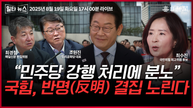 매일신문 유튜브 