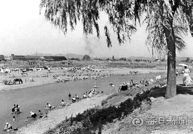 1958년 7월 9일, 2주에 걸친 장마 전선이 물러가 모처럼 날이 개이자 주민들이 묵혀 둔 빨래를 하느라 대구 신천이 거대한 빨래터로 변했다. 매일아카이빙센터