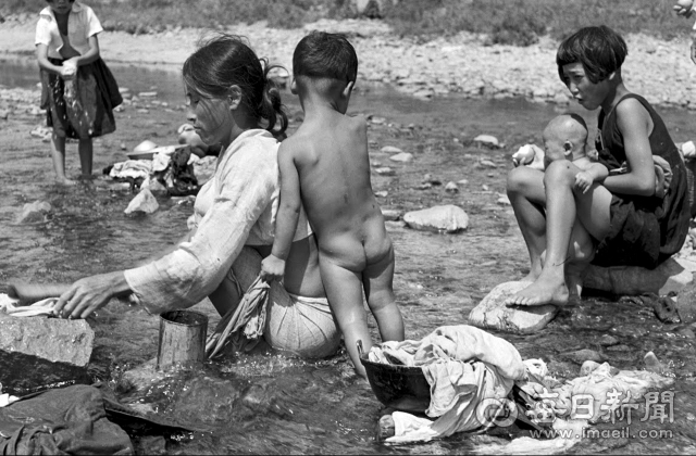 1950년 8월 여름날 대구 신천에 나온 한 아낙네가 빨래를 하는 동안 아이들이 냇물에서 더위를 식히고 있다. 미국 종군기자 칼 마이던스 촬영. 매일아카이빙센터