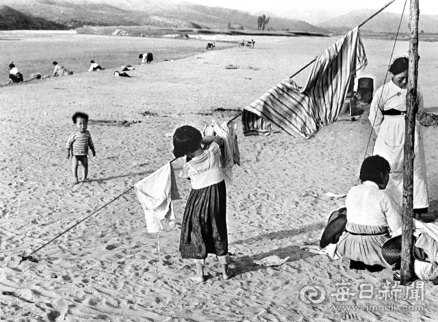 1955년 여름날 대구 팔달교 아래 금호강 백사장 풍경. 주민들이 드럼통을 잘라 만든 솥에 삶아 낸 빨래를 강물에 헹궈 빨랫줄에 말리고 있다. 사진=매일아카이빙센터