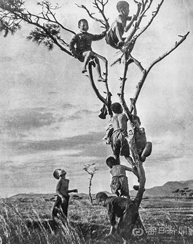 1945년 건국사진연맹주최 공모전 특선