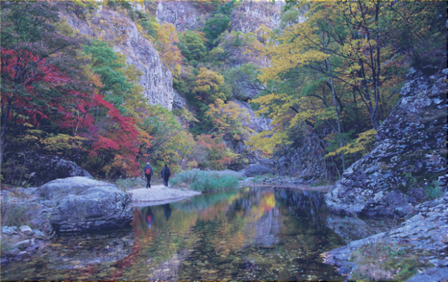 주왕산 절골의 가을 모습. 주왕산국립공원사무소 제공