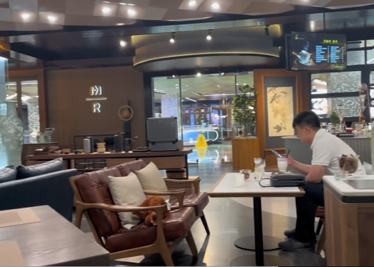 미국 뉴욕타임스(NYT)가 25일(현지시간) 보도한 스타벅스를 모방한 북한 평양의 고급 카페 내부 모습. NYT 홈페이지 갈무리