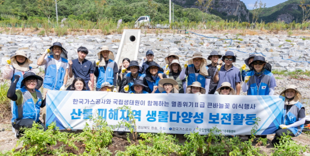 한국가스공사는 지난 26일 경북 청송에서 국립생태원과 산불 피해 지역 복원과 생물 다양성 보전을 위해 멸종위기종인 큰바늘꽃 이식 행사를 진행했다. 한국가스공사 제공
