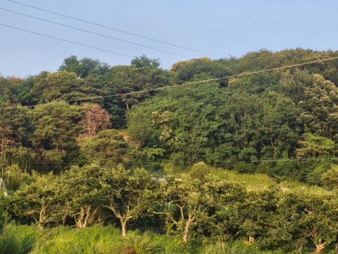 [함께 꿈꾸는 시] 박종해 '산울림'