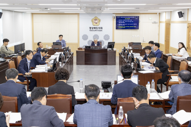 경상북도의회 행정보건복지위원회 회의 모습. 경북도의회 제공