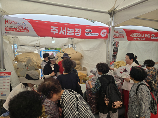 29일 영양고추H.O.T페스티벌 농산물 직판장에서 영양고추를 사기 위한 서울 시민들의 발길이 끊이지 않는 모습. 김영진 기자