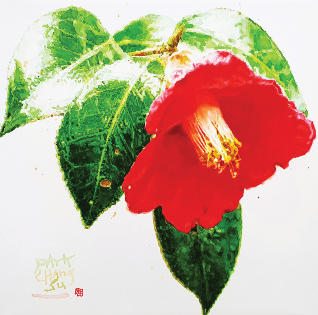 박창수, 동백, 60.6×90.9cm, Pencil watercolor arches satin uv varnish