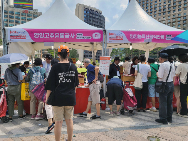 영양고추유통공사 직원들 서울광장에서 열린 2025 영양고추H.O.T페스티벌 현장에서 서울시민들에게 영양고추 판매를 진행하고 있다. 김영진 기자