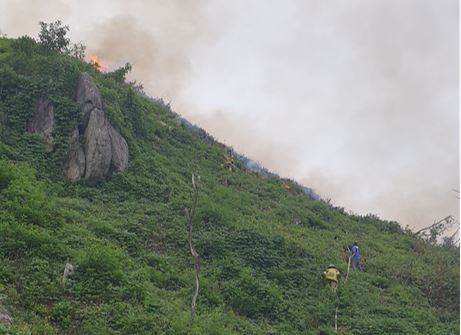 울진 야산서 산불 발생, 3시간 만에 진화