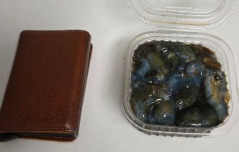 부산 자갈치 횟집, 해삼 한 접시에 7만원…항의하자 5천원 돌려줘