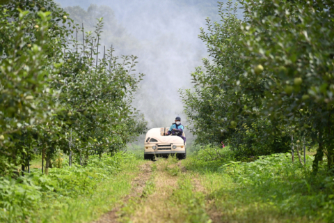 청송군, 과수 냉해 예방기술 지원 사업 신청 접수
