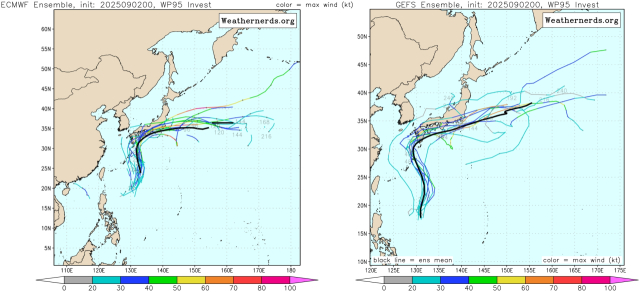유럽중기예보센터(ECMWF) 앙상블(Ensemble) 모델과 다중앙상블(GEFS) 모델 감시 95W 열대요란(15호 태풍 페이파 발달 가능성) 예상경로