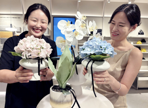 [포토뉴스] 롯데백 대구, 조화 플랜테리어 '그리밋' 팝업  