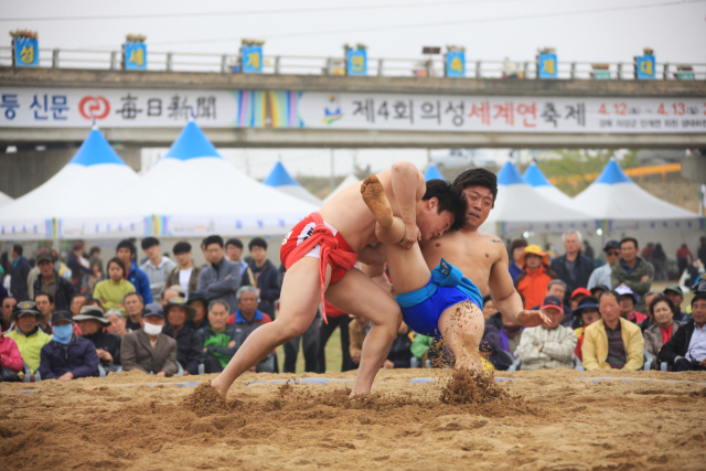 경북 의성은 전통적으로 씨름의 본고장이다. 민속씨름이 활성화된 1990년대 초반 이준희, 이태현 등 의성중·고 출신 씨름스타들이 씨름판을 제패하면서 의성씨름은 전국적인 유명세를 떨쳤다.