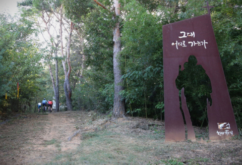 [김도훈 기자의 아웃도어 라이프] 길 위에서 '나'를 돌아보다…'1박2일' 칠곡 한티가는길 