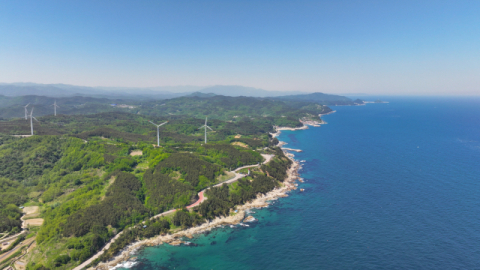 경북 영덕 대표 해안길 블루로드, 제모습 찾았다…산불 휩쓴 4코스 복원으로 출입 재개