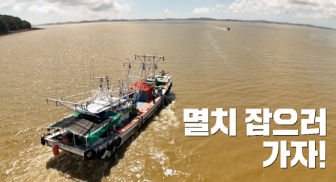 [TV] 은빛 물결 쫓아 멸치잡이 출항 