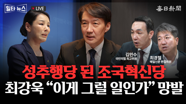매일신문 유튜브 