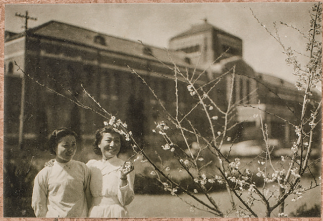 1930-1940년대 경상북도립 대구의원의 간호부와 간호부 생도. 대구의학전문학교 졸업앨범과 간호부 졸업생 제공
