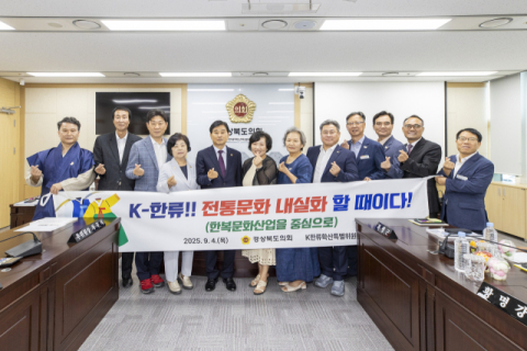 경북도의회 K-한류특위, 