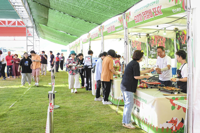 지난해 문경오미자 축제장에 마련된 먹거리 부스