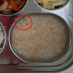 애들 먹는 음식에 애벌래 둥둥…어린이집 급식 사진에 '발칵'