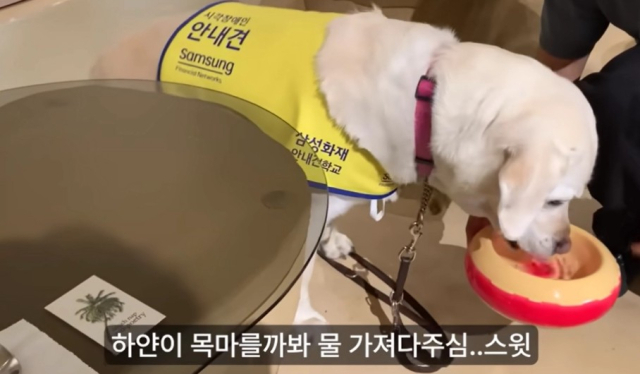 유튜브 캡처.