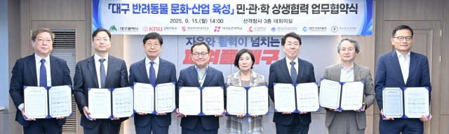 대구시 제공