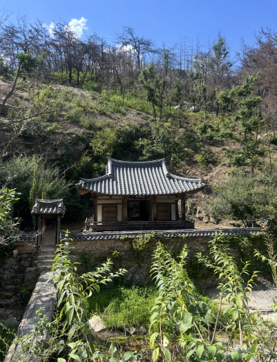 불길 속 지켜낸 만휴정의 현재 모습. 안동시 제공