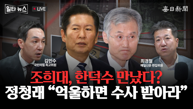매일신문 유튜브 