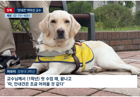 국립대 강의실에서 시각장애인의 안내견 출입을 제한한 교수가 논란에 휩싸였다. JTBC 방송 캡처