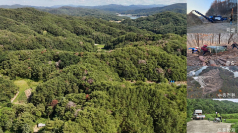 재선충 고사 소나무 5년 사이 4배…안동시 집중 방제, 피해 예방 '총력'