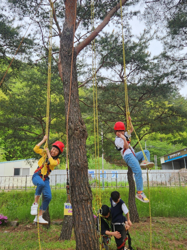 청송 파천초등학교 학생들이 경북교육청이 추진하는 도전! 꿈 성취 인증제의 일환으로 클라이밍 수업에 도전하고 있다. 경북교육청 제공
