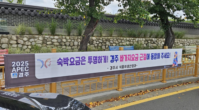 경주시는 2025 APEC 정상회의를 앞두고 시내 주요 지점에 