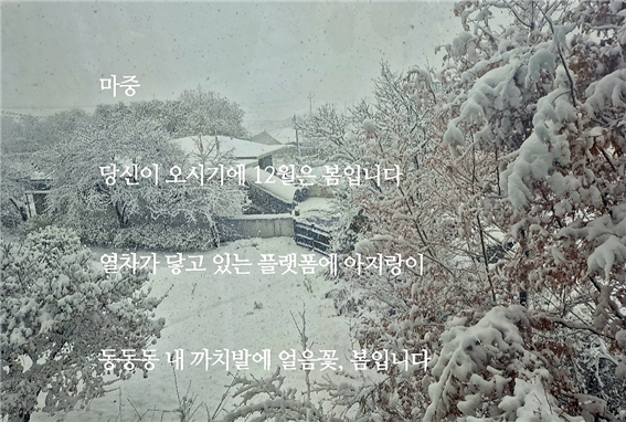시조 