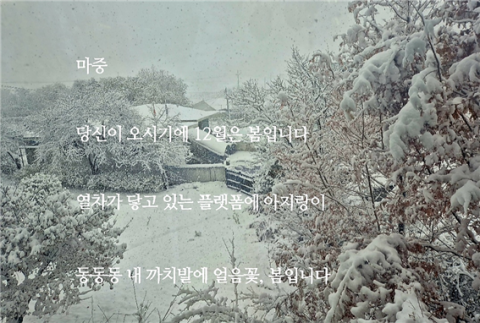 [매일문예광장] (시조) 마중/ 성국희