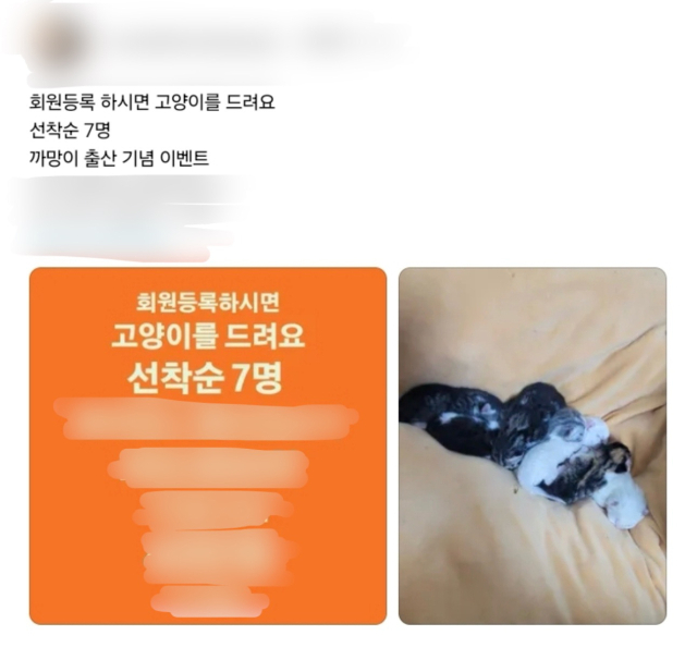 온라인을 통해 확산되면서 논란이 된 A 업체의 홍보글. 온라인 커뮤니티 캡쳐