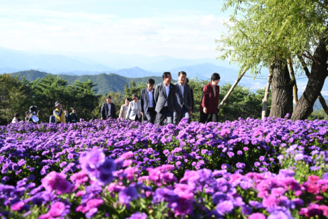 보랏빛 노을에 물든 감악산 꽃별여행, 거창 관광 르네상스의 서막
