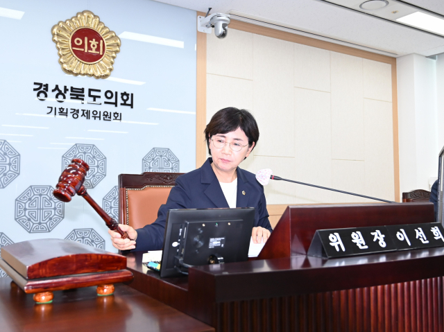 경북도의회 기획경제위원회 회의가 지난 상임위 회의장에서 열렸다. 사진은 이선희 위원장이 회의를 주관하는 모습. 경북도의회 제공